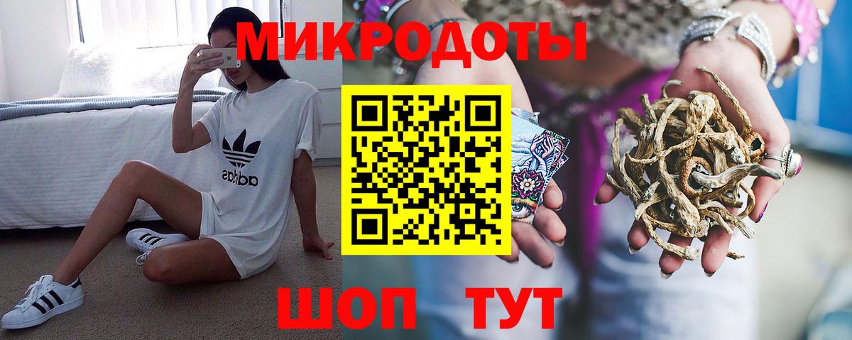 Псилоцибиновые грибы Cubensis Новороссийск