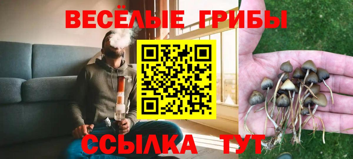 цены   Галлюциногенные грибы Magic Shrooms  Вход с VPN  Новороссийск 