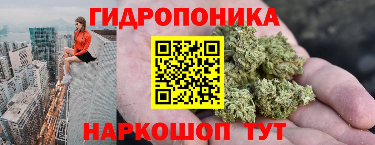 Бошки Шишки VHQ Новороссийск
